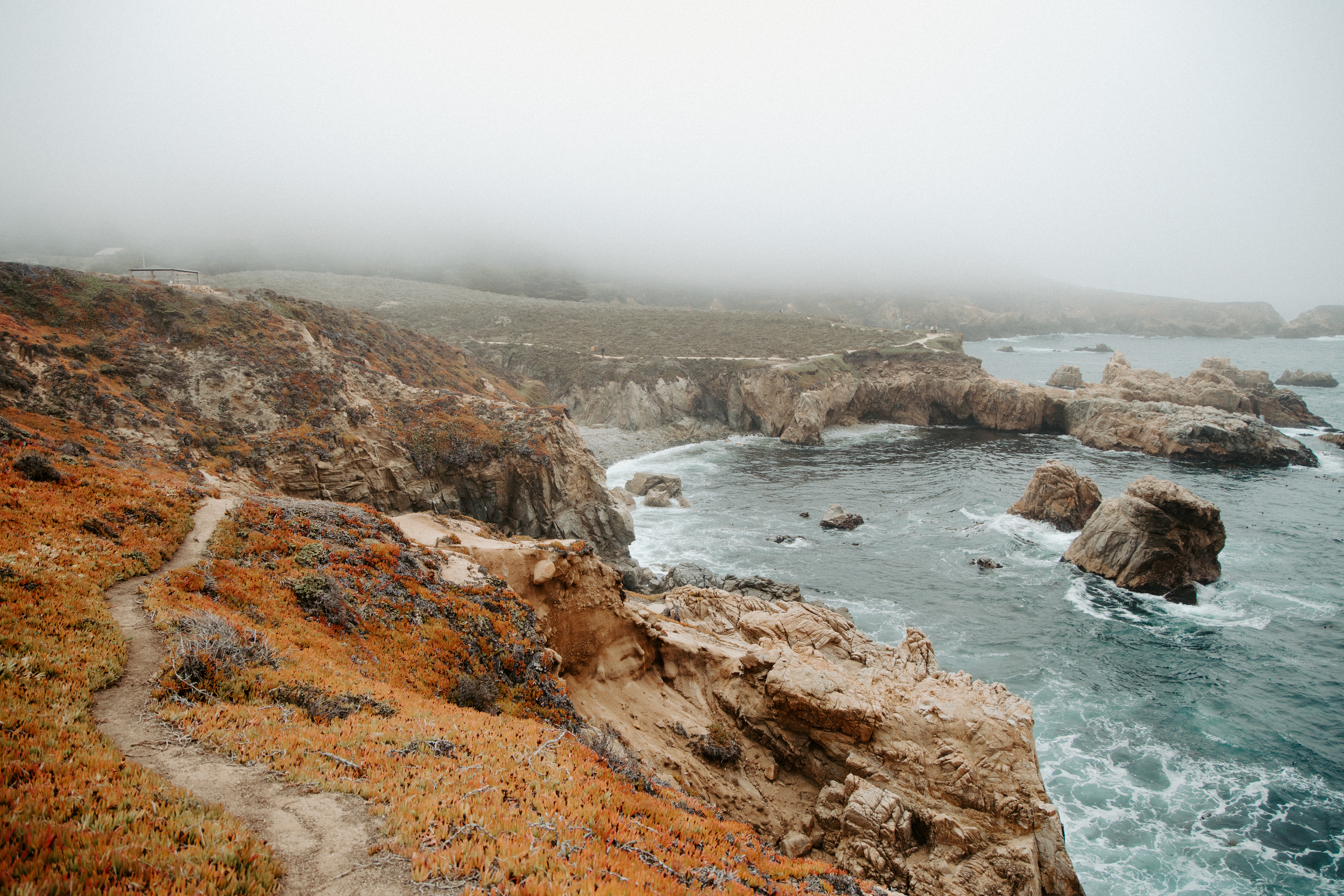 Big Sur coastline
